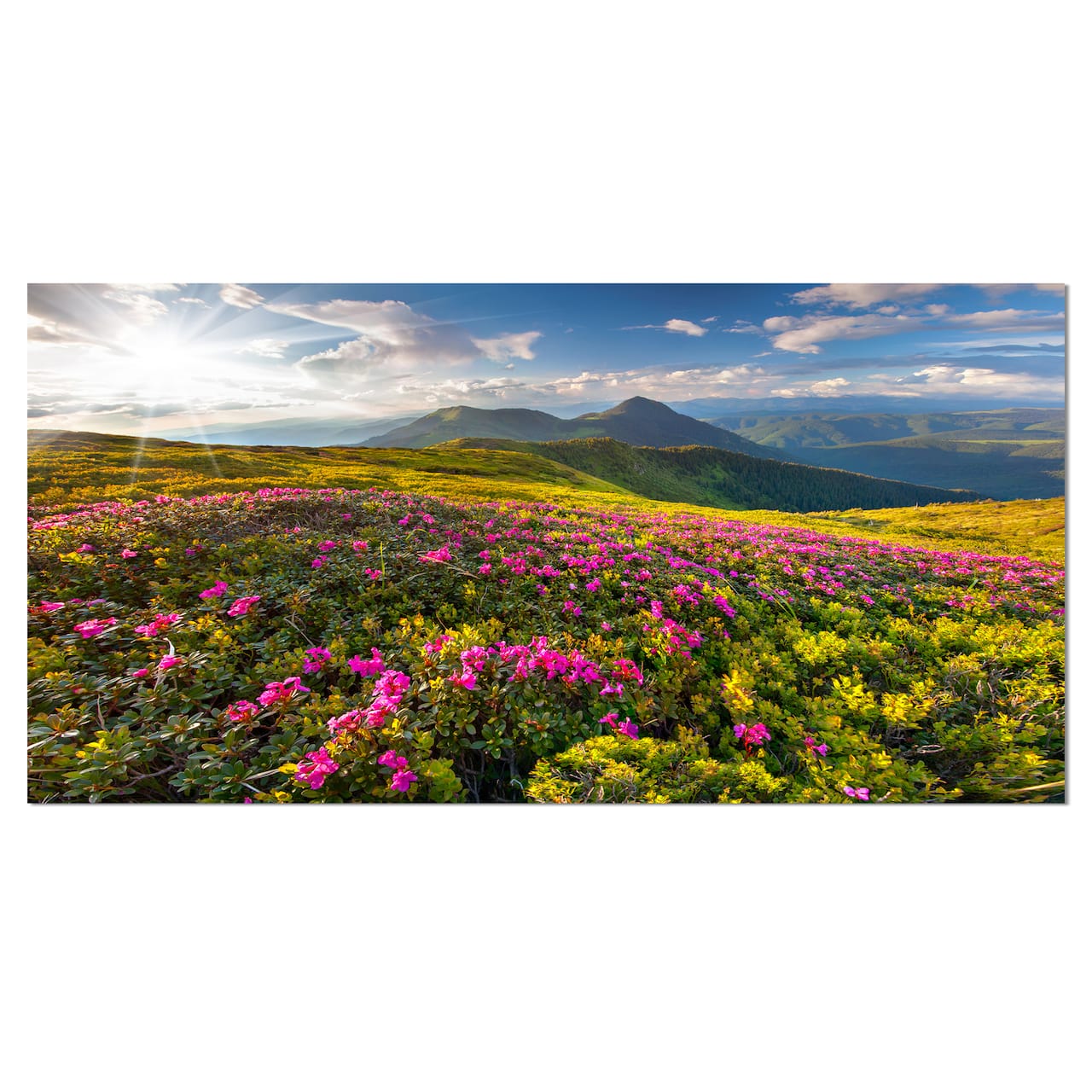 Designart - Summer Day Rhododendron Flowers - Landscape Canvas Art Print